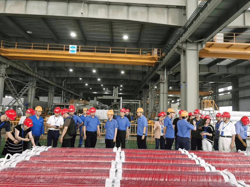 1696918736549091.png 图片9 (1).png